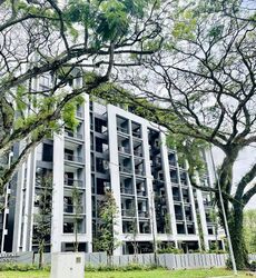 Mayfair Modern (D21), Condominium #462537531